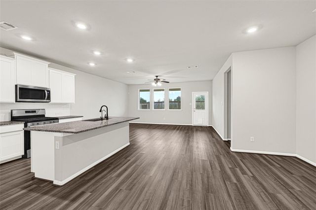 13401 Emerald Mallard Drive, Santa Fe, TX 77568