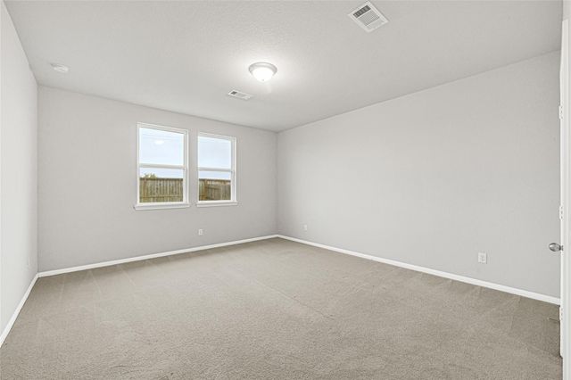 13401 Emerald Mallard Drive, Santa Fe, TX 77568