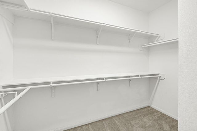 13401 Emerald Mallard Drive, Santa Fe, TX 77568