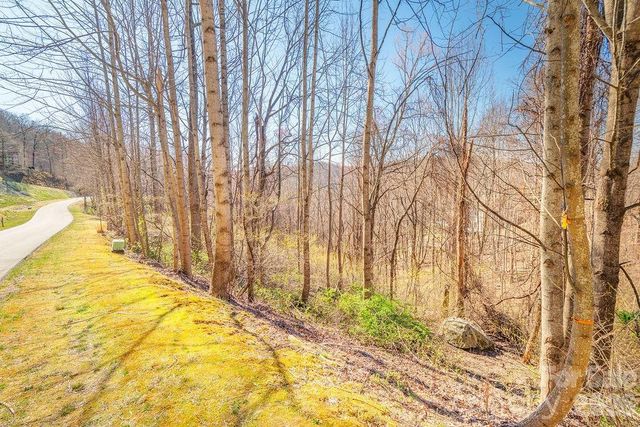461 Somersby Parkway, Hendersonville, NC 28739