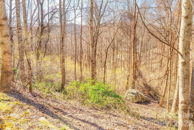 461 Somersby Parkway, Hendersonville, NC 28739