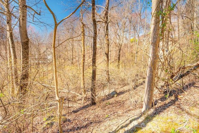 461 Somersby Parkway, Hendersonville, NC 28739