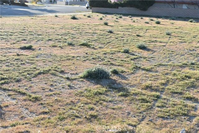 26456 Blue Water, Helendale, CA 92342