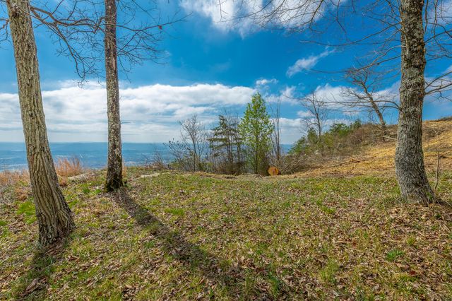 0 River Bluffs Drive Rb56, Jasper, TN 37347
