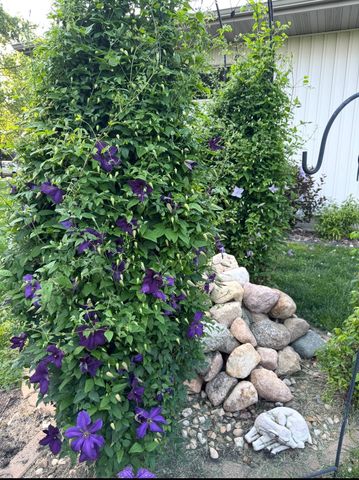 501-505 Beedle Drive, Ames, IA 50014