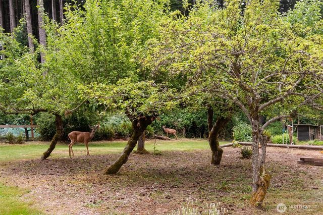125 Gleason Road, Centralia, WA 98531