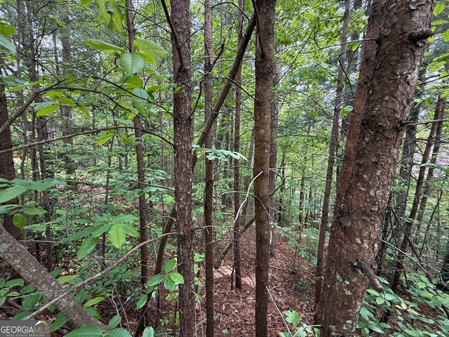 0 HINTERSTRATEN WEG LOT 116, Helen, GA 30545