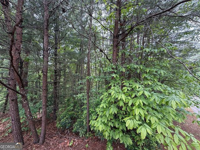 0 HINTERSTRATEN WEG LOT 116, Helen, GA 30545