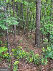 0 HINTERSTRATEN WEG LOT 116, Helen, GA 30545