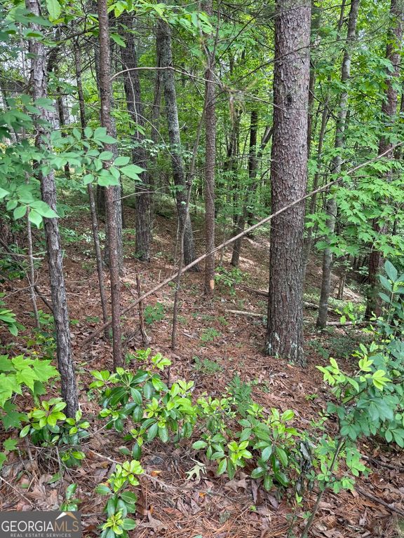 0 HINTERSTRATEN WEG LOT 116, Helen, GA 30545