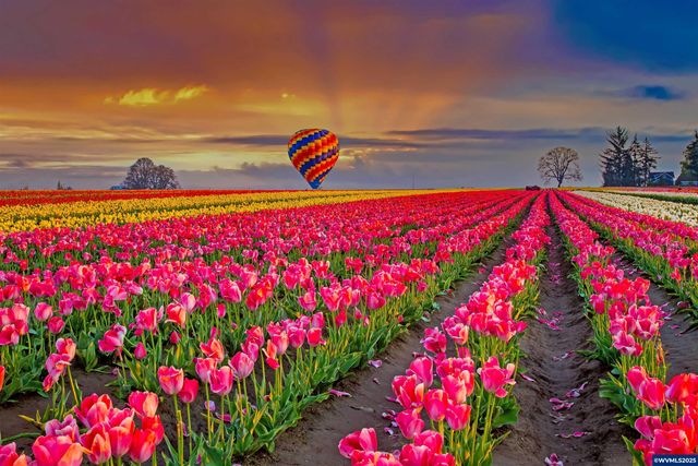 651 Merriott Ln, Woodburn, OR 97071