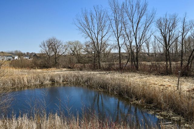 13331 White Pine Court N, Dayton, MN 55327