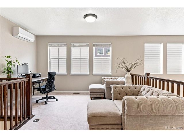 10537 Oncilla Ln, Lone Tree, CO 80124