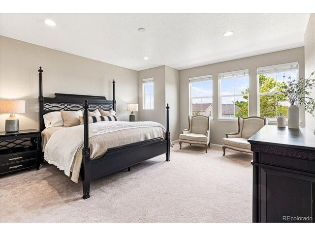 10537 Oncilla Ln, Lone Tree, CO 80124