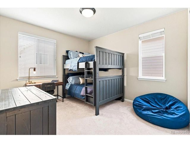 10537 Oncilla Ln, Lone Tree, CO 80124