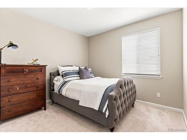 10537 Oncilla Ln, Lone Tree, CO 80124