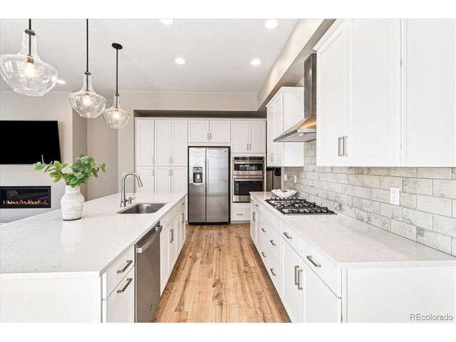 10537 Oncilla Ln, Lone Tree, CO 80124