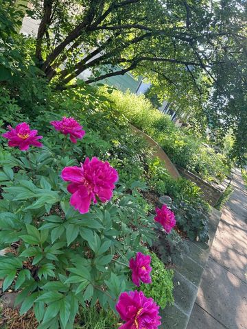 1307 Seminary Avenue, Saint Paul, MN 55104