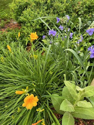 1307 Seminary Avenue, Saint Paul, MN 55104