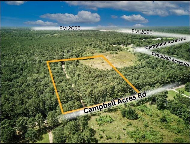 TBD Campbell Acres - 10 Acre Tract Road, Cleveland, TX 77328