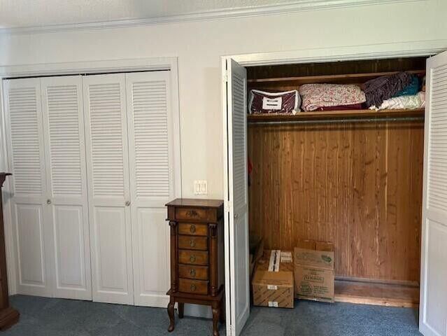 617 Pickwood Drive, Manning, SC 29102