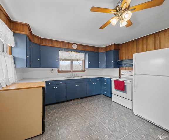 8770 Summerfield Road, Summerfield Twp, MI 49270