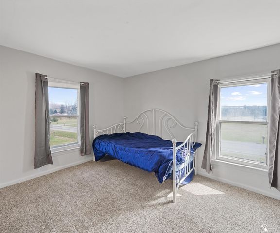 8770 Summerfield Road, Summerfield Twp, MI 49270