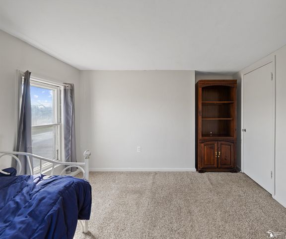 8770 Summerfield Road, Summerfield Twp, MI 49270