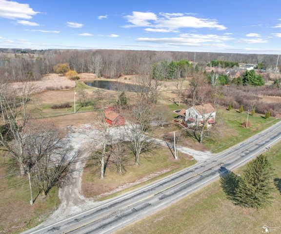 8770 Summerfield Road, Summerfield Twp, MI 49270