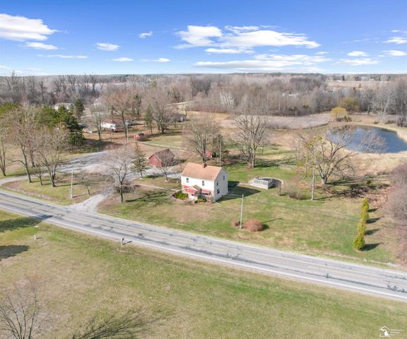 8770 Summerfield Road, Summerfield Twp, MI 49270