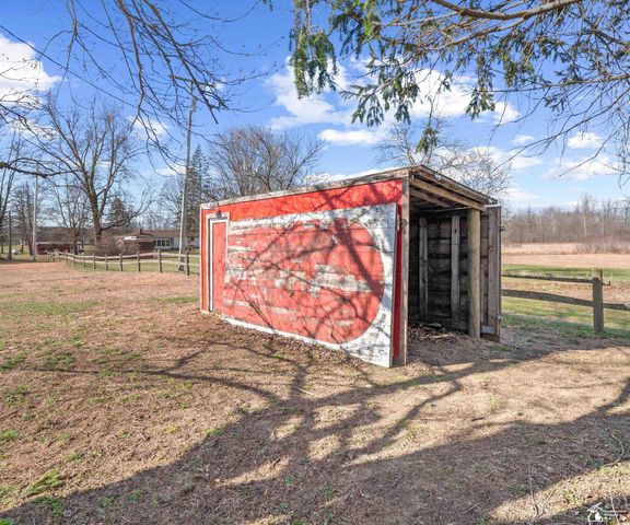 8770 Summerfield Road, Summerfield Twp, MI 49270