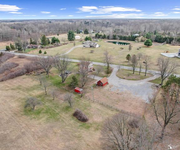 8770 Summerfield Road, Summerfield Twp, MI 49270