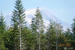 10119 Eatonville Highway E, Eatonville, WA 98328