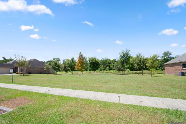 11376 Oak Run Dr, Geismar, LA 70734