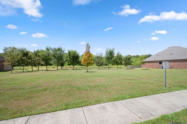 11376 Oak Run Dr, Geismar, LA 70734