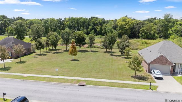 11376 Oak Run Dr, Geismar, LA 70734