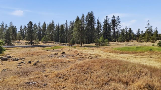 11900Blk S CHENEY-PLAZA Rd, Cheney, WA 99004