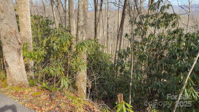 TBD High Acres Road, Spruce Pine, NC 28777