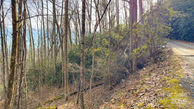 TBD High Acres Road, Spruce Pine, NC 28777