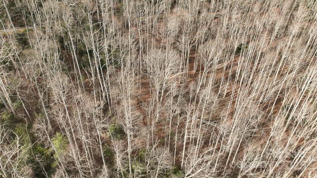 TBD High Acres Road, Spruce Pine, NC 28777