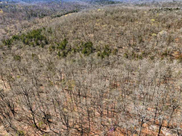 335 County Road 552, Gainesville, MO 65655