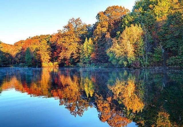 95 Lanseer 2, Boston, MA 02132