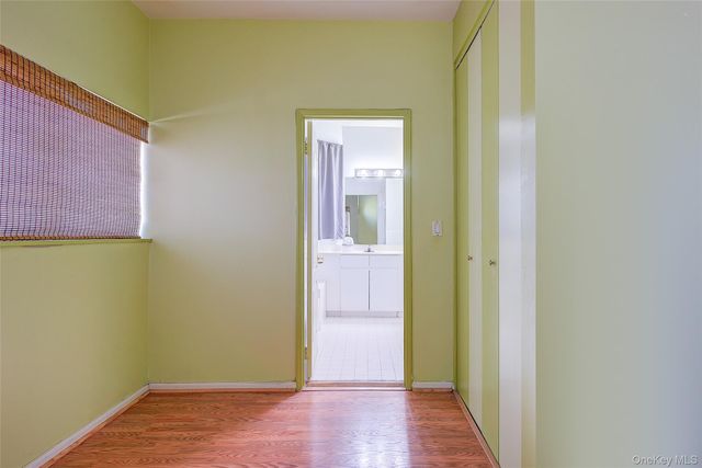 588 Louisiana Avenue 3, Brooklyn, NY 11239