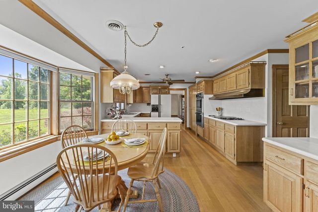 176 ROCK MILLS RD, Castleton, VA 22716