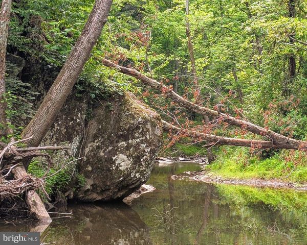 176 ROCK MILLS RD, Castleton, VA 22716