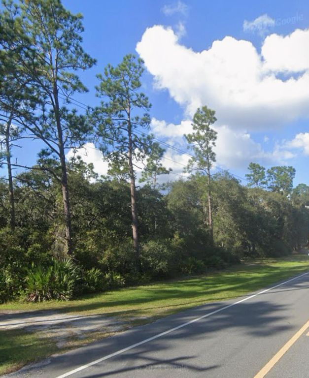 0 NE 315 Hwy, Fort Mc Coy, FL 32134