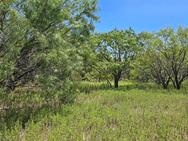 501 County Road 384, No City, TX 76442
