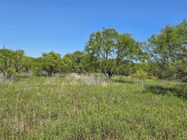 501 County Road 384, No City, TX 76442