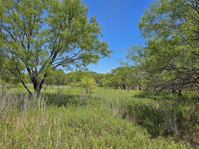 501 County Road 384, No City, TX 76442