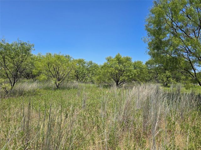 501 County Road 384, No City, TX 76442